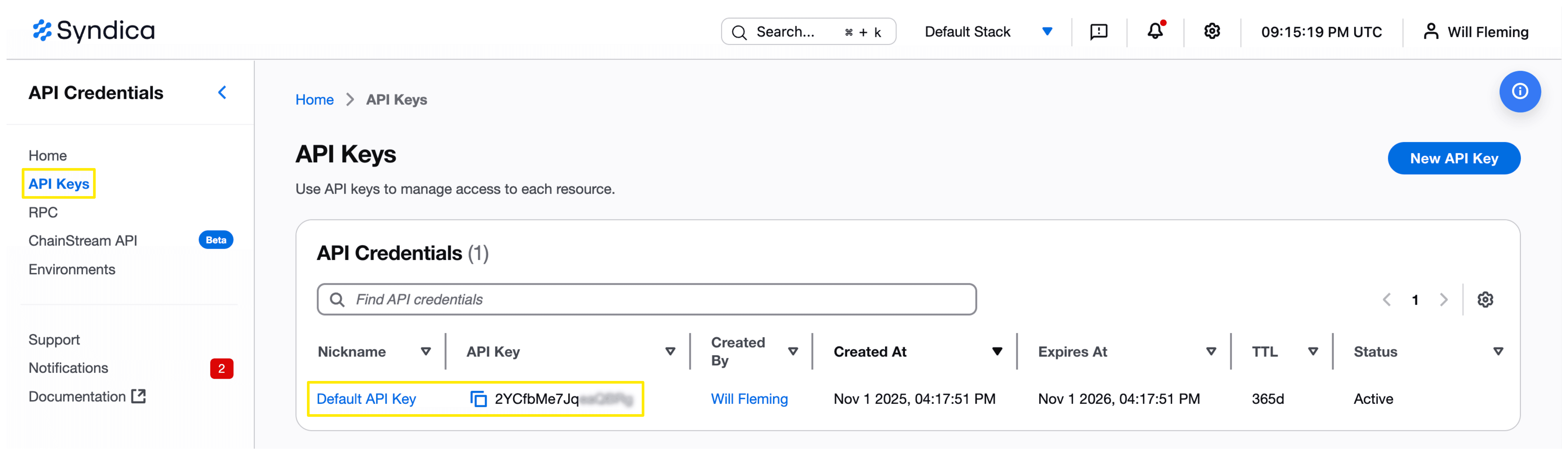 Default API Key View